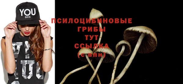 прущие грибы Алексин