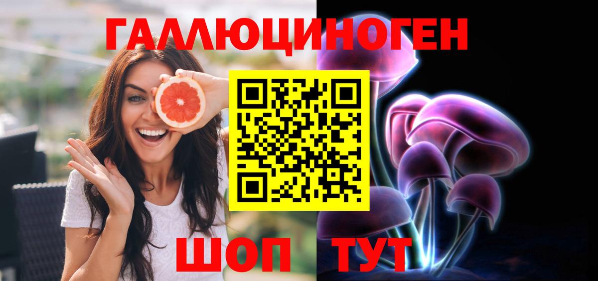 Галлюциногенные грибы Psilocybine cubensis Анжеро-Судженск